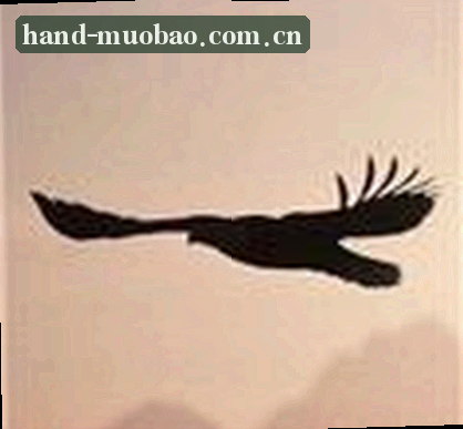 张总