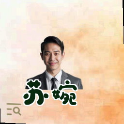 苏婉